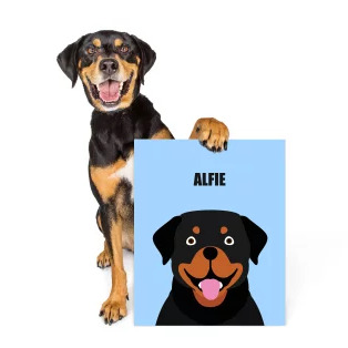 Lite product box nopad 2908776 1712411148