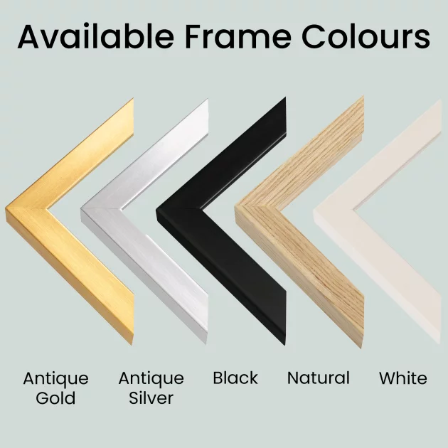 Product main 15 14 2821169 1713360481