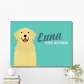 Product thumb 2834647 1704702398