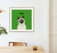 Product thumb 2835691 1704908547