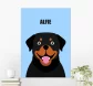 Product thumb 2835743 1704909442