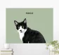 Product thumb 2917776 1713091385