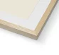 Product thumb 2918236 1713187784