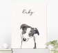 Product thumb 2918911 1713251026
